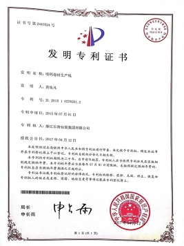 Patent